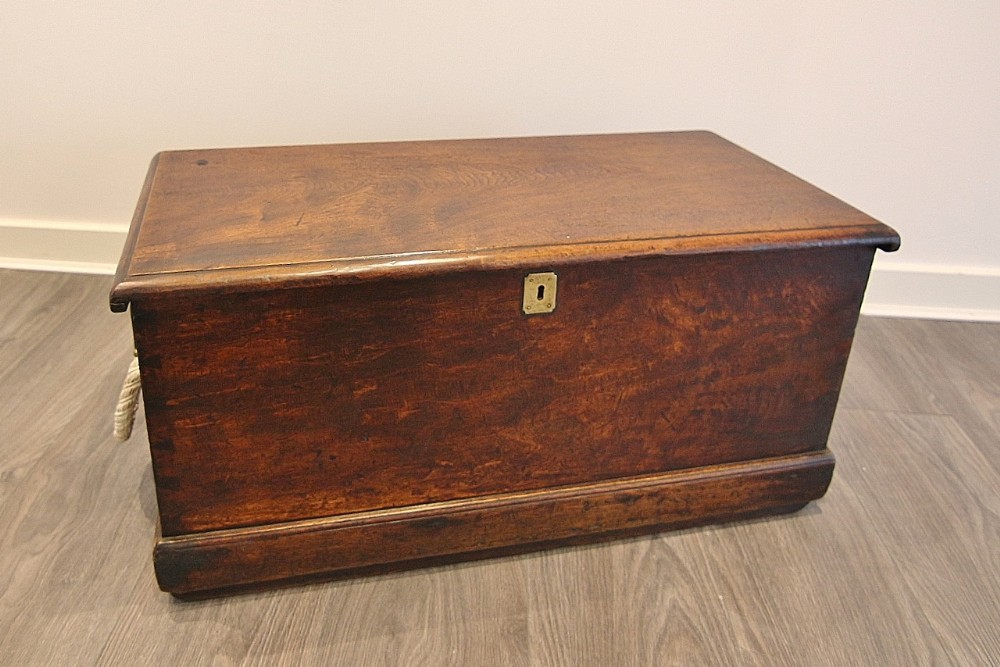 superb late georgian camphorwood sloped sailors chest box