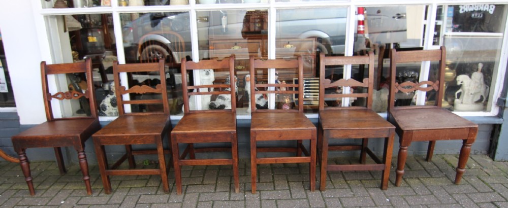 harlequin set of 6 welsh farmhouse chairs