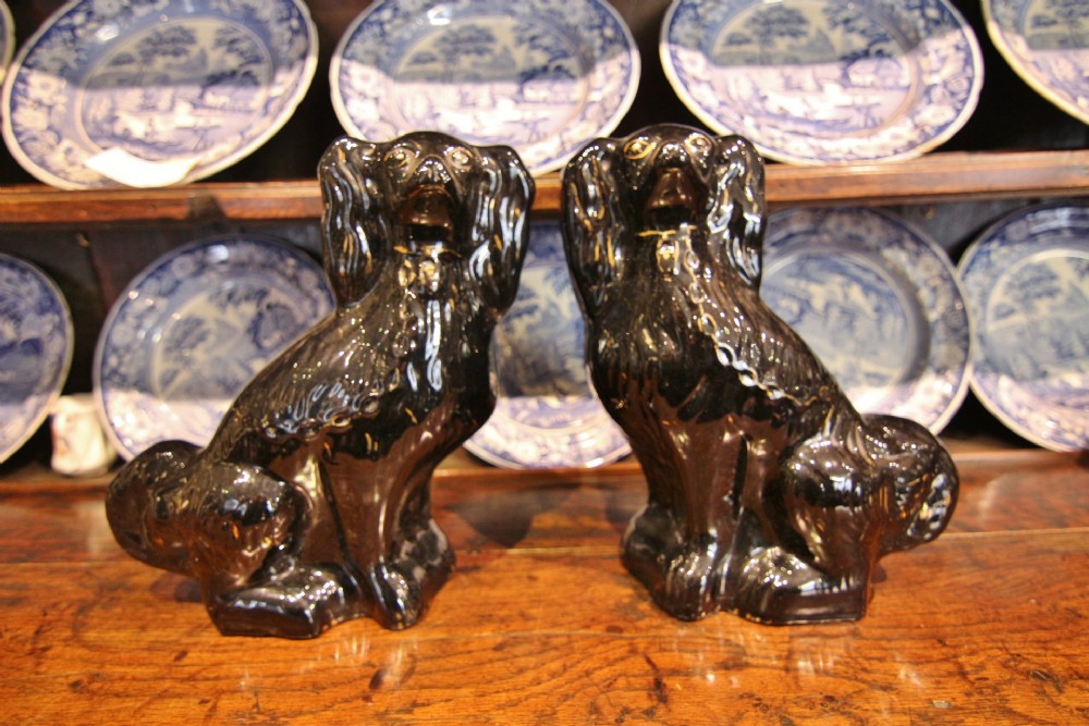 pair 19th century back spaniel dogs