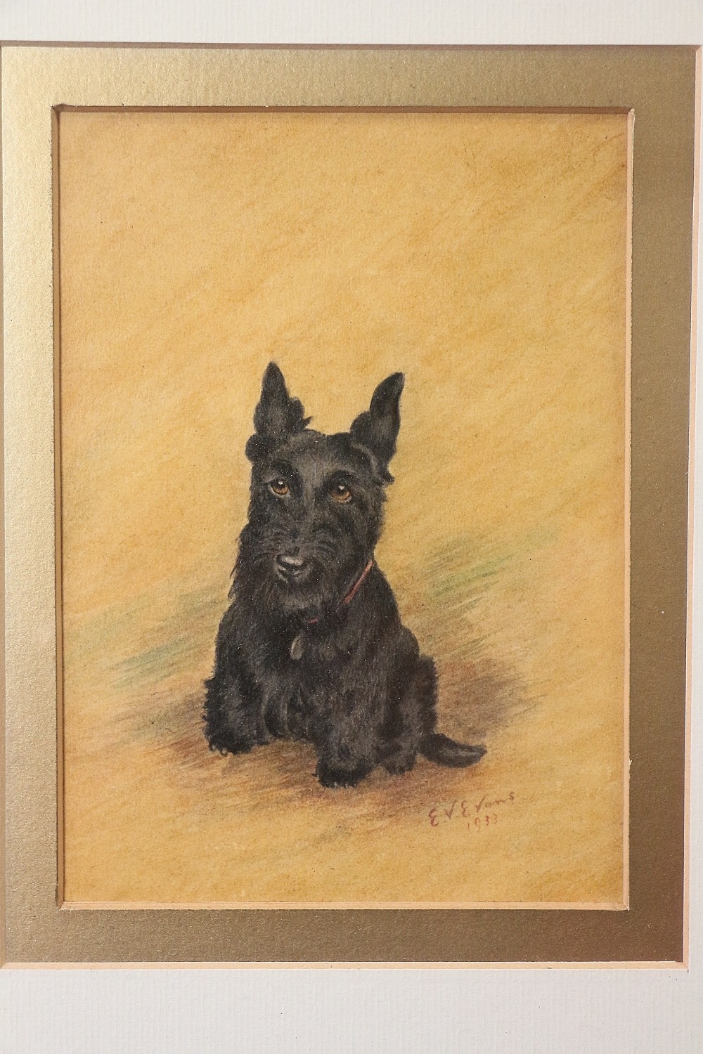 scottish terrier portrait by e v evans artist