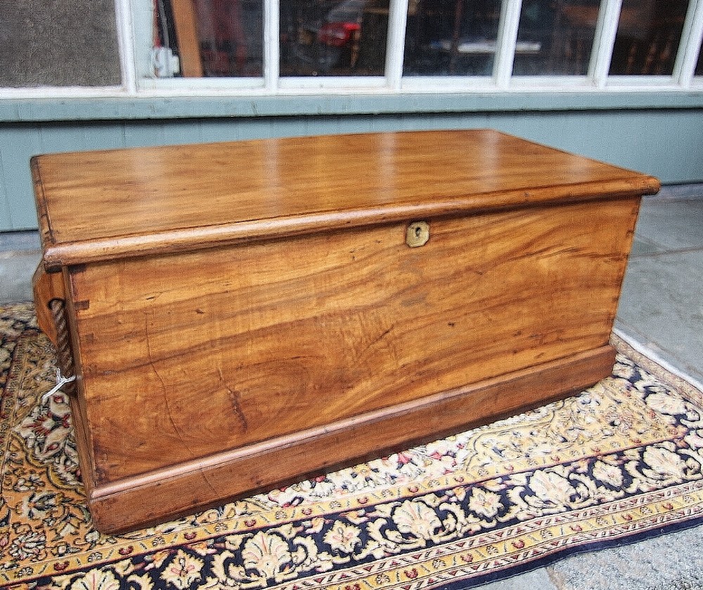 stunning late georgian camphorwood sea chest