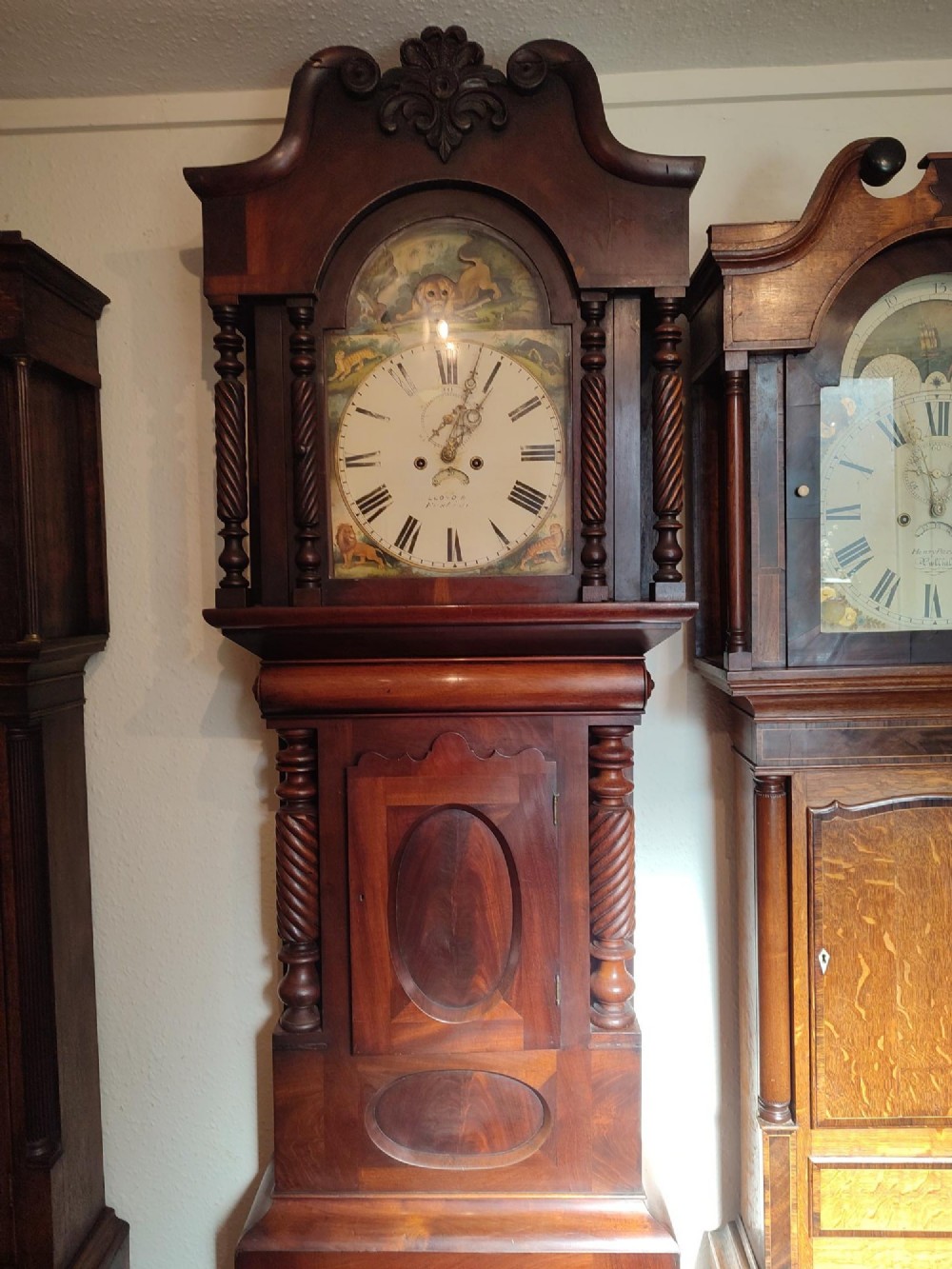 19th century 8 day lion automaton